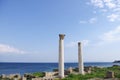 Archeological site of Ã¢â¬â¹Ã¢â¬â¹Tharros